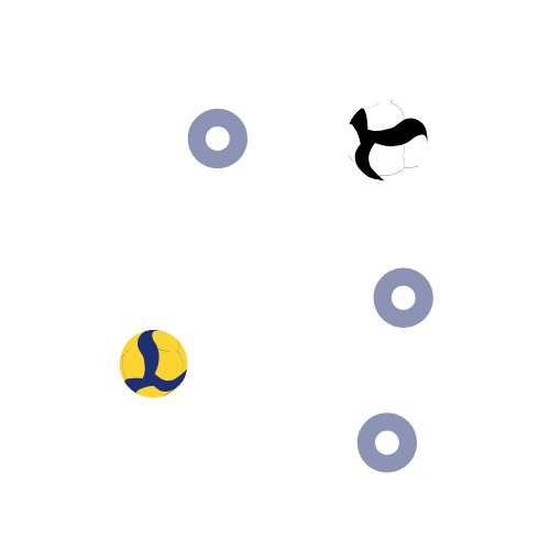 VolleyNet